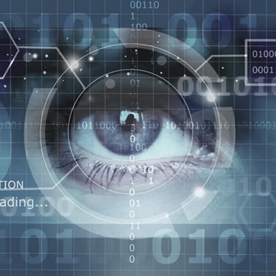 Google takes its turn to shine