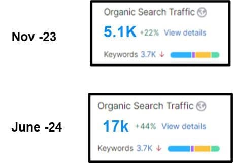 Leather Talks organic traffic growth