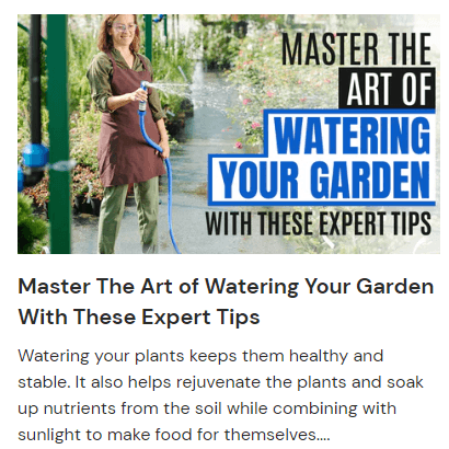 Master the Art of Watering Your Garden