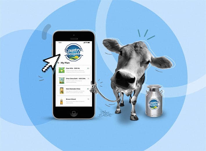 Product Chart for Country Delight